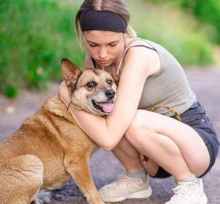 Tores - przekochany, niekonfliktowy psiak do adopcji