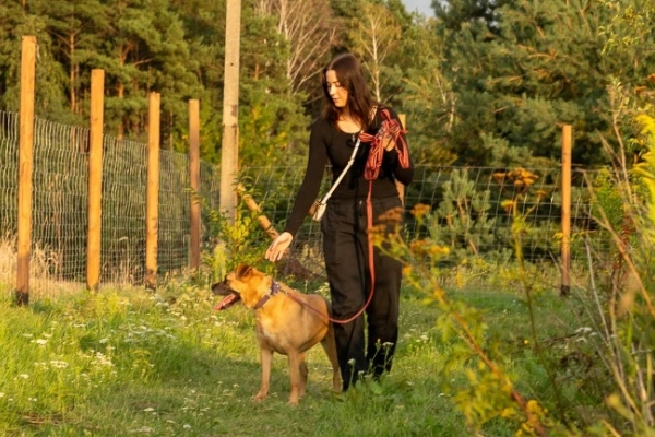 Aza - przyjazna, kochana sunia szuka domu!