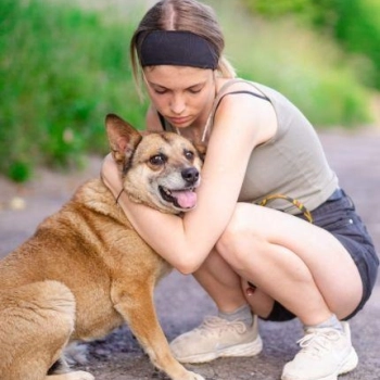 Tores - przekochany, niekonfliktowy psiak do adopcji